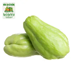Trái Su Su - Chayote - NONG SAN CHI HUONG