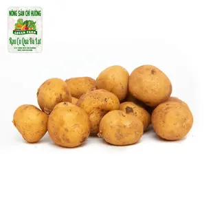 Khoai Tây Vàng - Potato - NONG SAN CHI HUONG