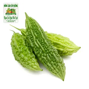 Khổ Qua / Mướp Đắng - Bitter Melon - NONG SAN CHI HUONG