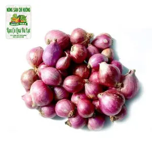 Hành Tím Phan Rang - Shallot - NONG SAN CHI HUONG