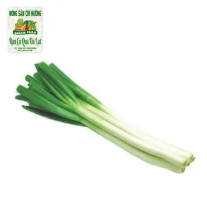 Hành Paro - Leek - NONG SAN CHI HUONG