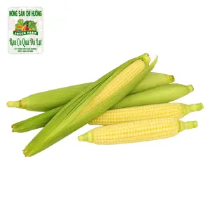 Bắp Non Nguyên Vỏ - Baby Corn - NONG SAN CHI HUONG