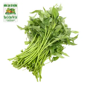 Rau Muống - Morning Glory - NONG SAN CHI HUONG