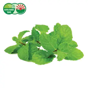 Húng Lủi Hữu Cơ - Spearmint (50g) - KATA FARM HUB