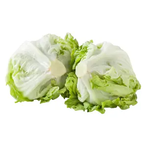 Xà Lách Búp Mỹ Đà Lạt - Iceberg Lettuce - NONBRAND