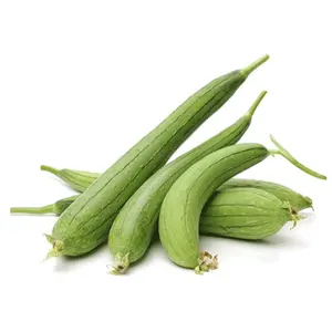 Mướp Hương - Smooth Loofah - NONBRAND
