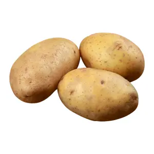 Khoai Tây Đà Lạt - Da Lat Potato - NONBRAND