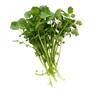 Xà Lách Xoong - Watercress - NONBRAND