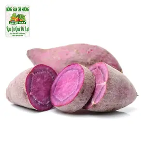 Khoai Lang Tím - Purple Sweet Potato - NONG SAN CHI HUONG