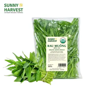 Rau Muống Hữu Cơ - USDA Organic Morning Glory (300g) - SUNNY HARVEST
