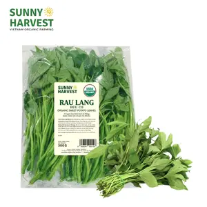 Rau Lang Hữu Cơ - USDA Organic Sweet Potato Leaves (300g) - SUNNY HARVEST