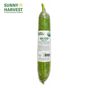 Mướp Hữu Cơ - Organic Sponge Gourd - SUNNY HARVEST