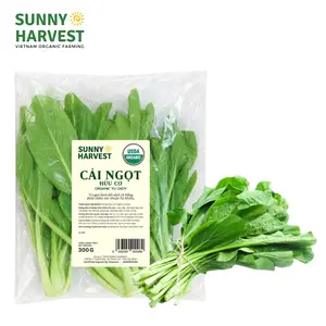 Rau Cải Ngọt Hữu Cơ - USDA Organic Yu Choy (300g) - SUNNY HARVEST