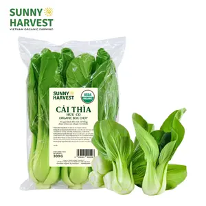 Rau Cải Thìa Hữu Cơ - USDA Organic Bok Choy (300g) - SUNNY HARVEST