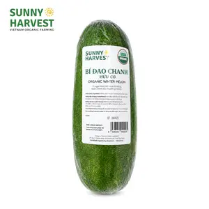 Bí Đao Chanh Hữu Cơ - USDA Organic Winter Melon - SUNNY HARVEST