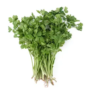 Ngò Rí / Rau Mùi Ta Còn Gốc - Coriander with Roots - NONBRAND
