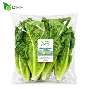 Xà Lách La Mã Giòn - Crispy Romaine Lettuce - DHF